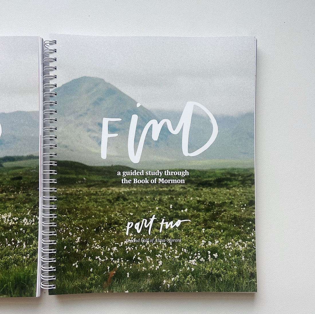 Find Part Two: A Guided Study Through The Book of Mormon (preorder)