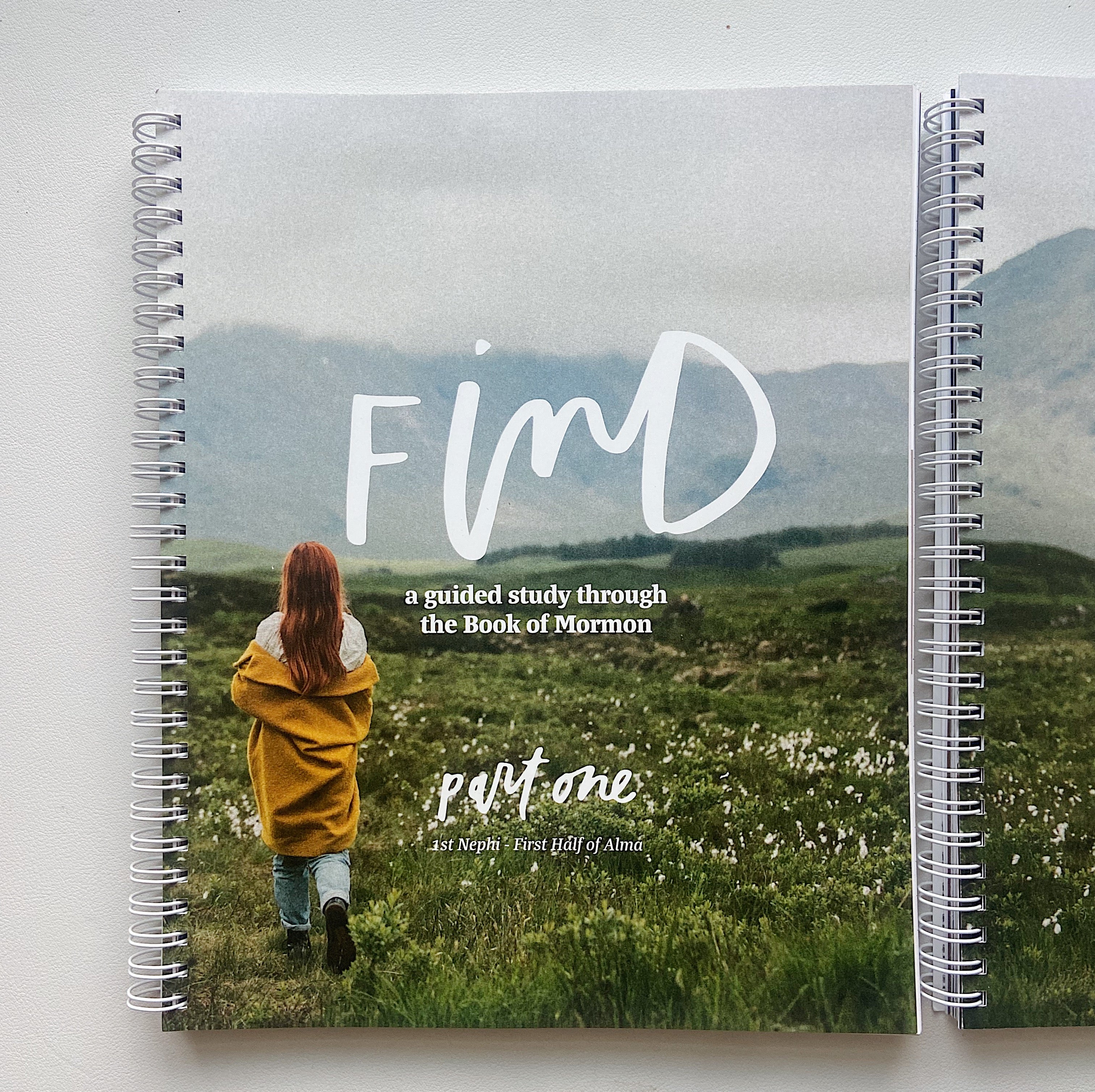 Find, Part One: A Guided Study Through The Book of Mormon (preorder)