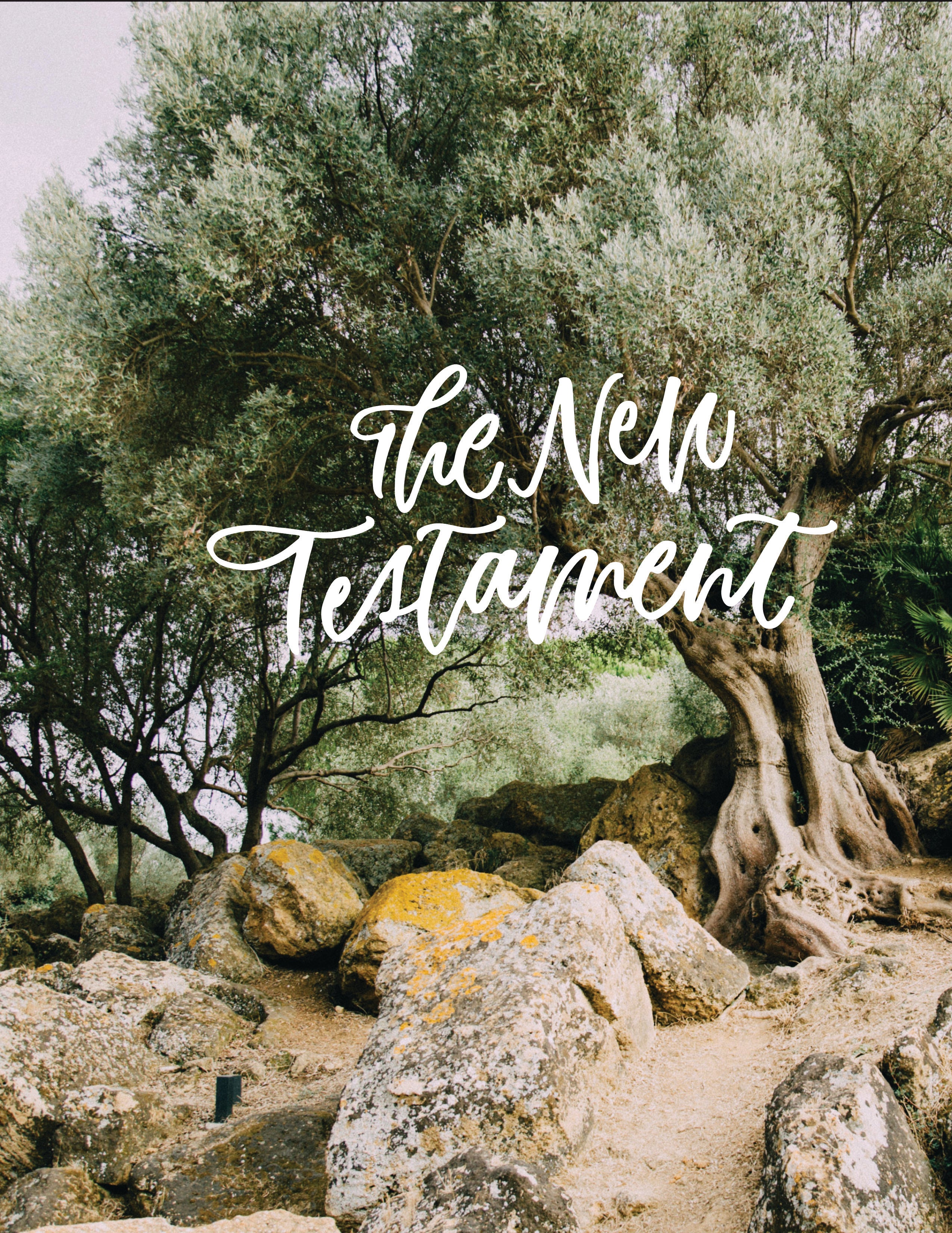 Wide Margin New Testament: Printed & Bound